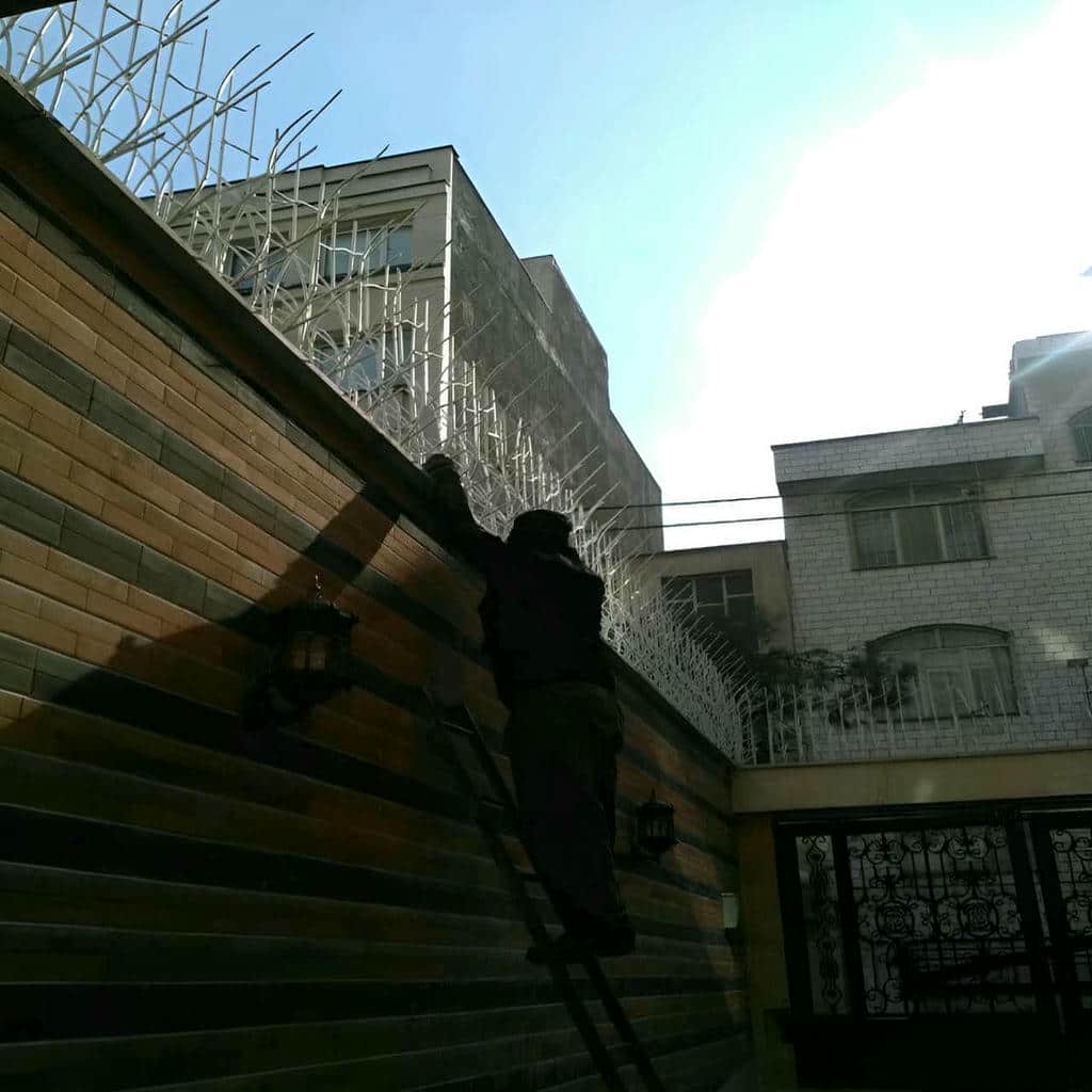 نمونه حفاظ شاخ گوزنی در بالای دیوار بلند